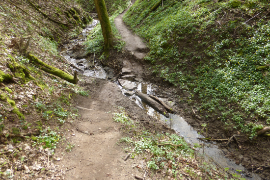 Hexenklamm Gersbach